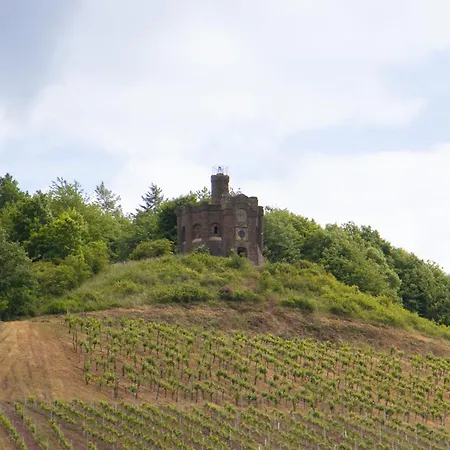 Alembra - Wein Style Τρίερ