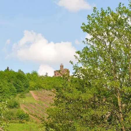 Alembra - Wein Style Hotel 3*