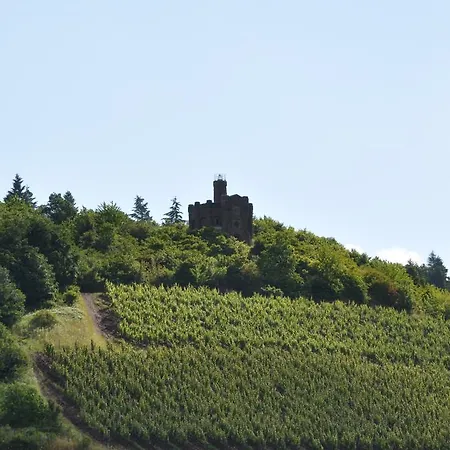 Schroeders Wein-style-hotel Hotel Trier