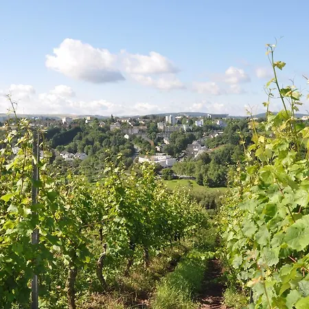 Alembra - Wein Style Hotel Trevír