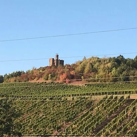 Alembra - Wein Style Hotel Hotel