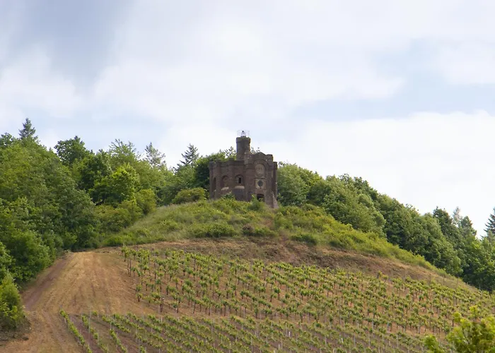 Alembra - Wein Style Trier